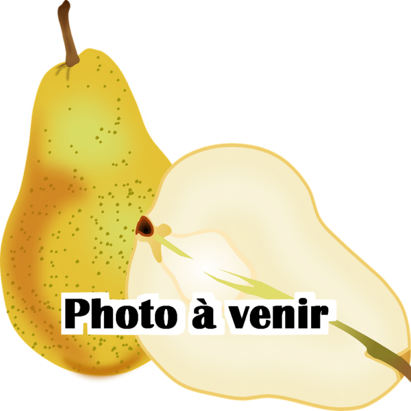 Poirier photo à venir