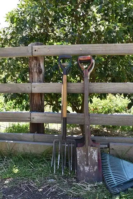 outils-plantation-arbres-fruitiers-Comment planter un arbre fruitier?