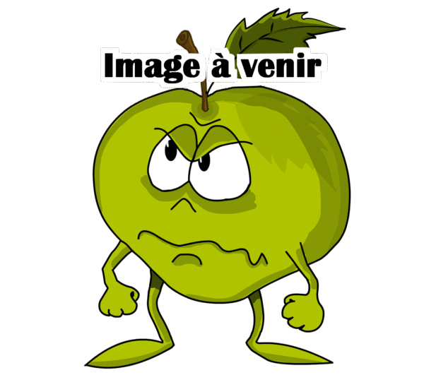 Pommier Reinette Marbrée - AB