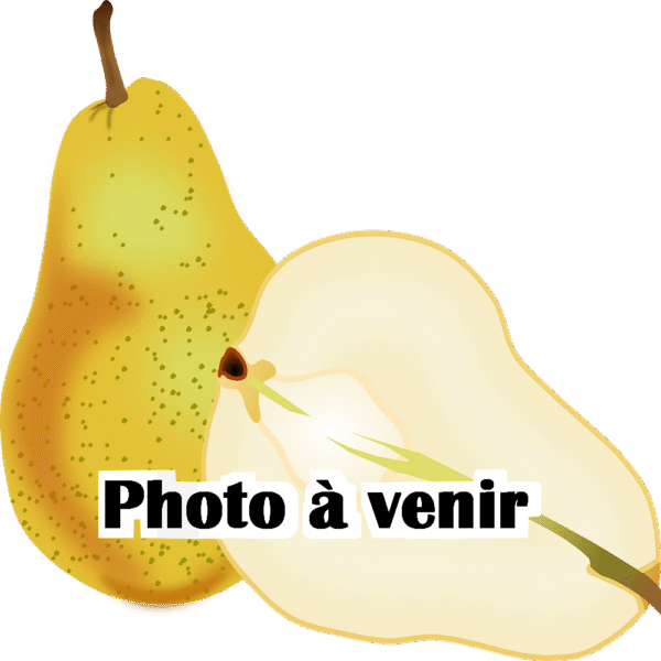 Poirier Boutoc – Poire d’Ange - AB